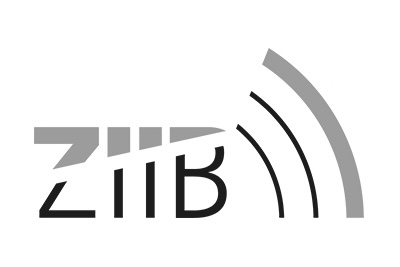 ZIIB Logo
